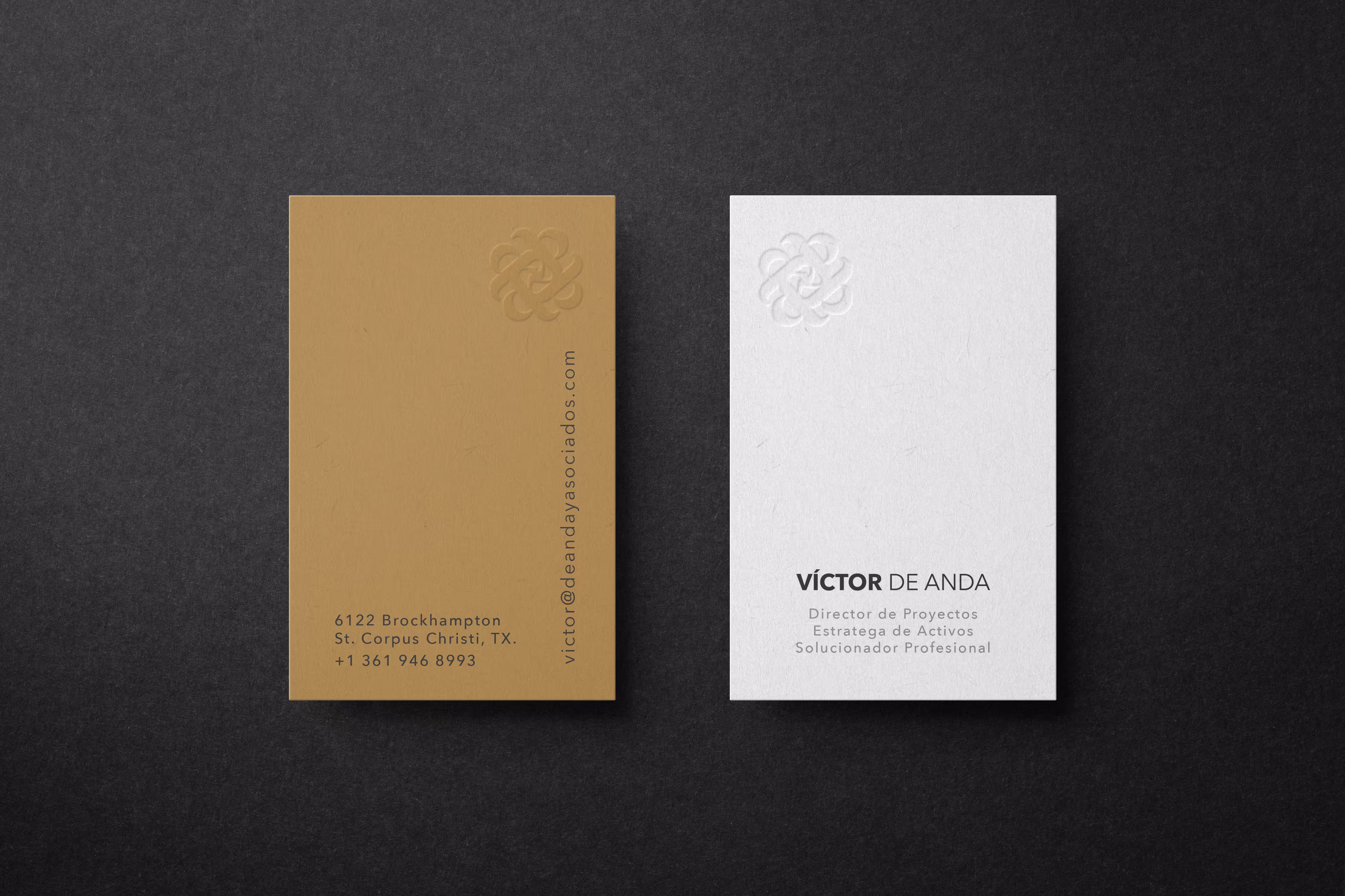 De Anda y Asociados Visual Narrative